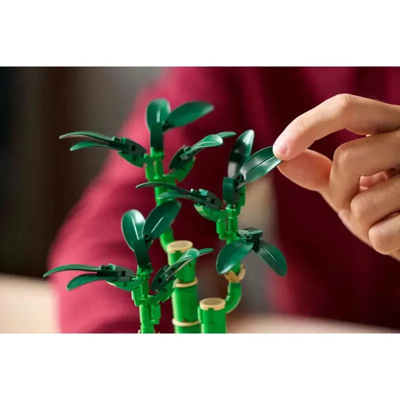 Lucky Bamboo - Lego Botanicals - War Games USA
