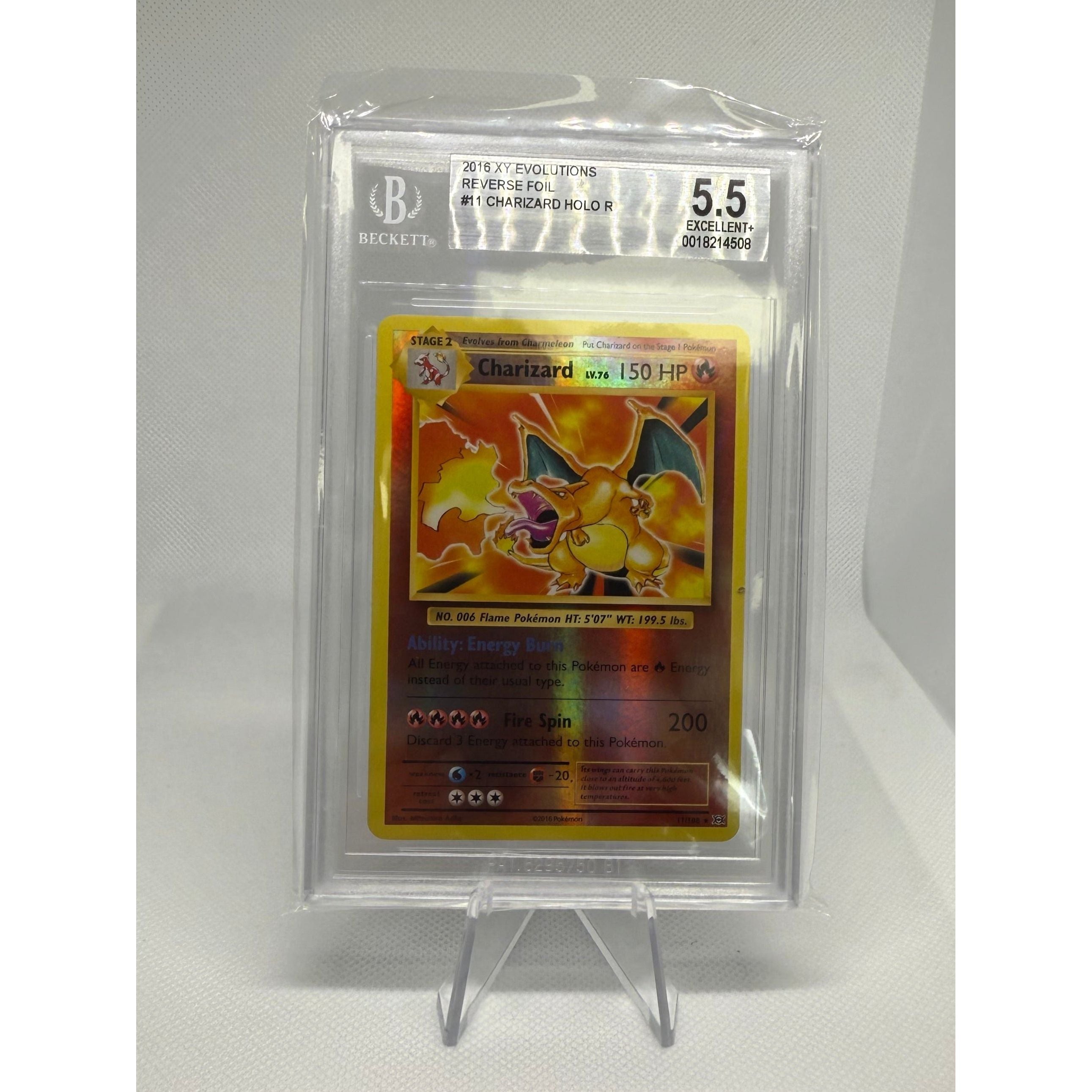 Trading card in a protective holder with a white background